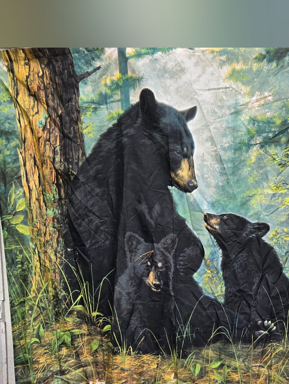 Black BEAR family Shower Curtain